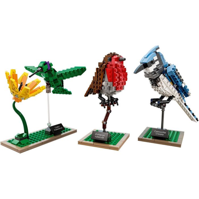 LEGO Ideas 21301 - Birds