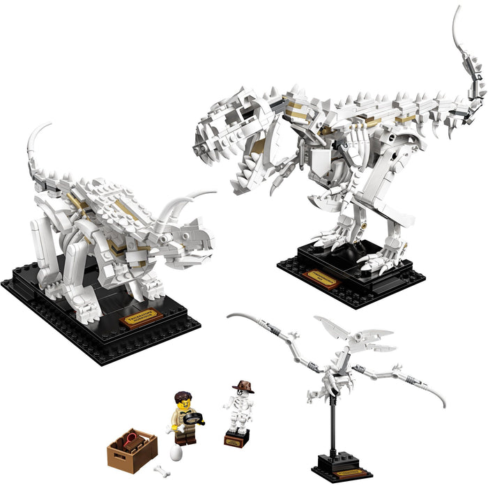 Lego 21320 Fossils Dinosaurio Ideas
