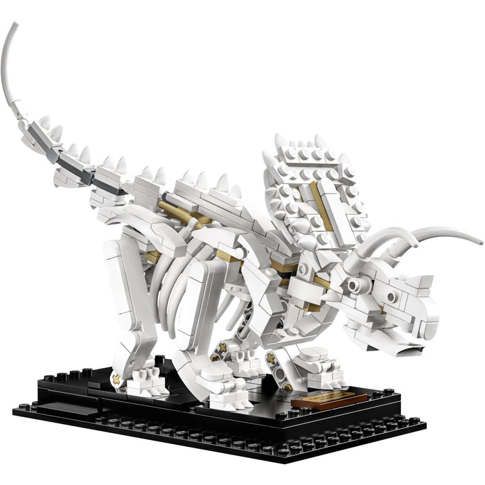 Lego 21320 Ideen Dinosaur Fossilien